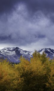 Preview wallpaper bushes, mountains, snowy