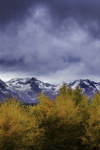 Preview wallpaper bushes, mountains, snowy