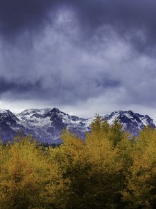 Preview wallpaper bushes, mountains, snowy