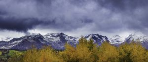 Preview wallpaper bushes, mountains, snowy