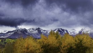 Preview wallpaper bushes, mountains, snowy