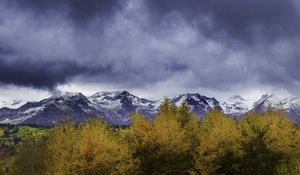 Preview wallpaper bushes, mountains, snowy