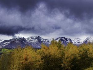 Preview wallpaper bushes, mountains, snowy