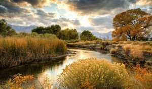 Preview wallpaper bushes, river, sun, clouds