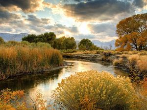 Preview wallpaper bushes, river, sun, clouds