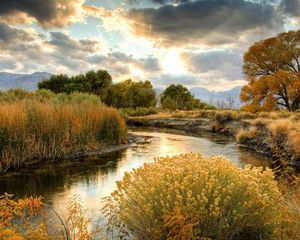 Preview wallpaper bushes, river, sun, clouds