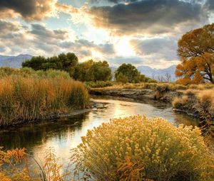 Preview wallpaper bushes, river, sun, clouds