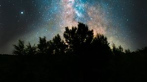 Preview wallpaper bushes, space, fog, starry sky, stars