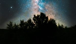 Preview wallpaper bushes, space, fog, starry sky, stars