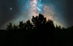 Preview wallpaper bushes, space, fog, starry sky, stars