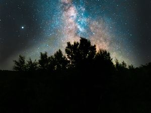 Preview wallpaper bushes, space, fog, starry sky, stars