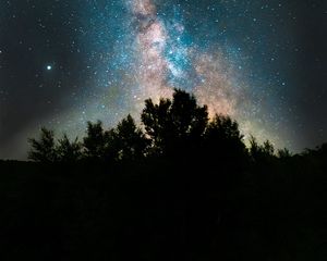 Preview wallpaper bushes, space, fog, starry sky, stars