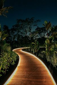 Preview wallpaper bushes, trees, path, lights, night, garden