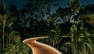 Preview wallpaper bushes, trees, path, lights, night, garden