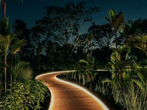 Preview wallpaper bushes, trees, path, lights, night, garden