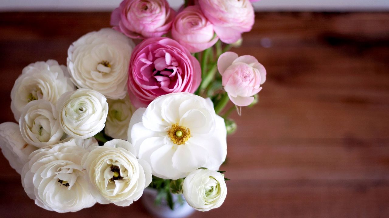 Wallpaper buttercup, ranunculus, bouquet, flowers, white, pink, buds, petals, vase