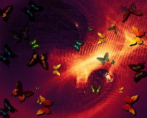 Preview wallpaper butterflies, abstraction, art, photoshop