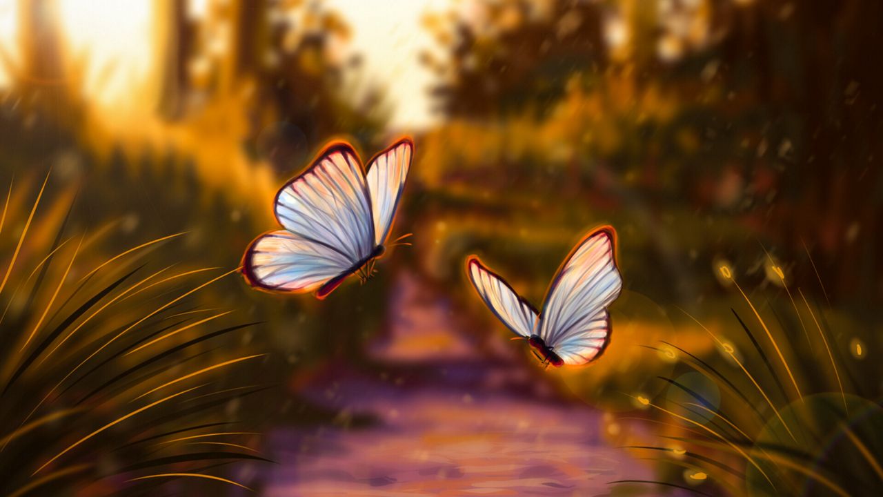 Wallpaper butterflies, glare, light, art