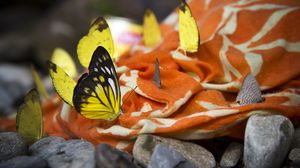 Preview wallpaper butterflies, insects, fabric, macro