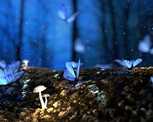 Preview wallpaper butterflies, mushrooms, forest, fantasy, blue