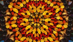 Preview wallpaper butterflies, patterns, wings, colored