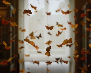 Preview wallpaper butterflies, space, decoration, design, blur