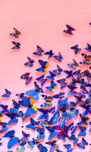 Preview wallpaper butterflies, wall, decoration, design