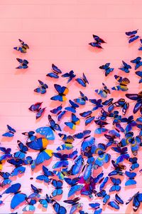 Preview wallpaper butterflies, wall, decoration, design