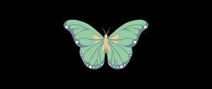 Preview wallpaper butterfly, art, vector, minimalism