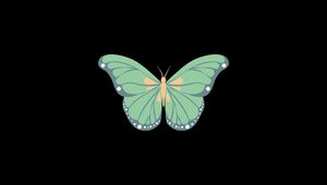 Preview wallpaper butterfly, art, vector, minimalism