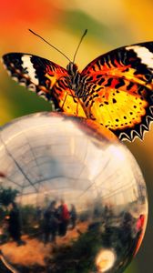 Preview wallpaper butterfly, ball, metal, wings, flashing