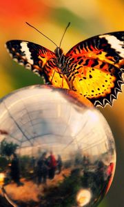 Preview wallpaper butterfly, ball, metal, wings, flashing