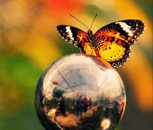 Preview wallpaper butterfly, ball, metal, wings, flashing