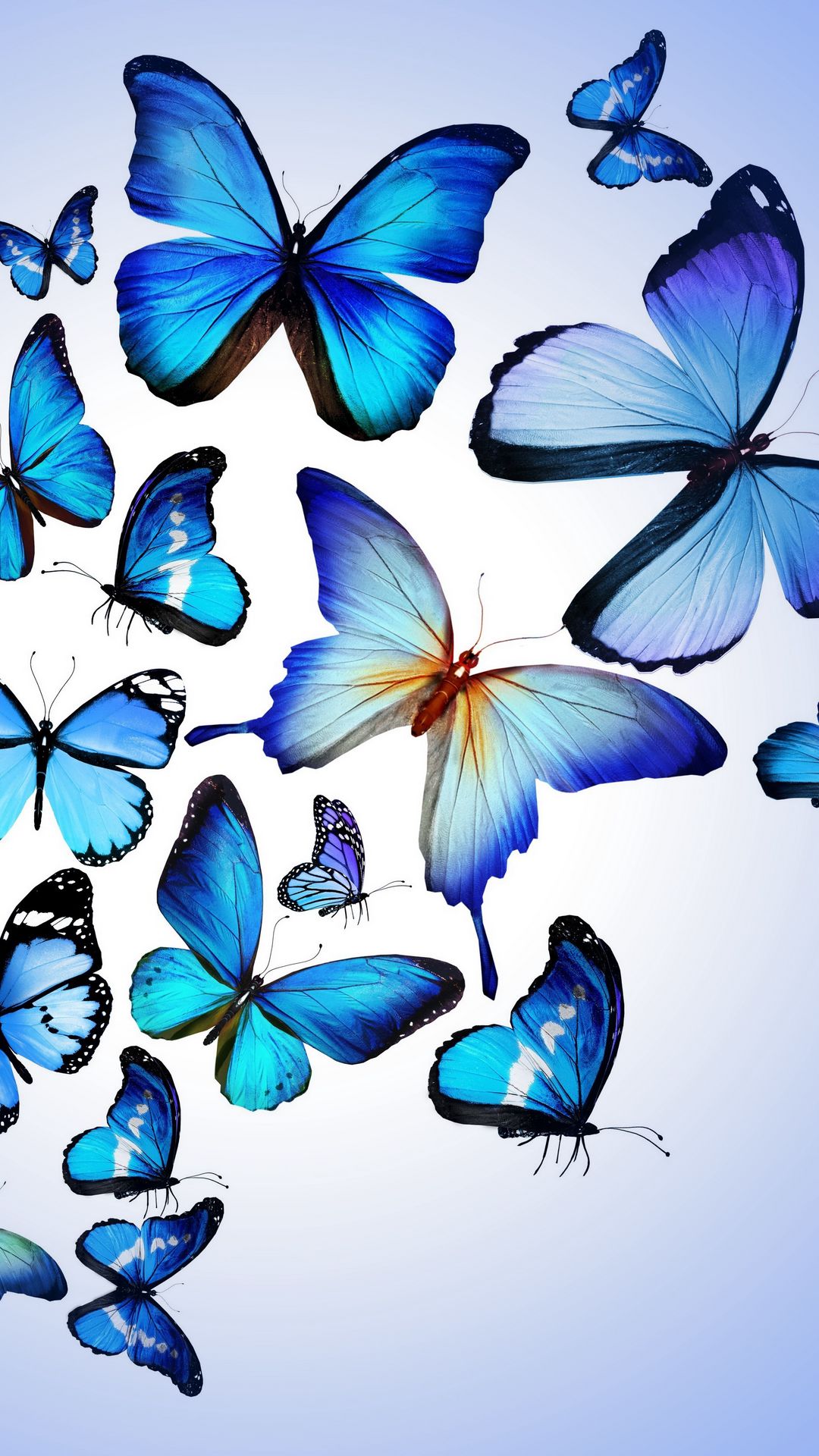 Download wallpaper 1080x1920 butterfly, colorful, blue, drawing, art,  beautiful samsung galaxy s4, s5, note, sony xperia z, z1, z2, z3, htc one,  lenovo vibe hd background