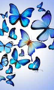 Preview wallpaper butterfly, colorful, blue, drawing, art, beautiful