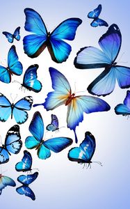 Preview wallpaper butterfly, colorful, blue, drawing, art, beautiful