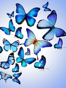 Preview wallpaper butterfly, colorful, blue, drawing, art, beautiful