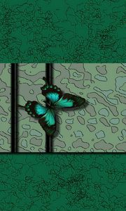 Preview wallpaper butterfly, crack, background