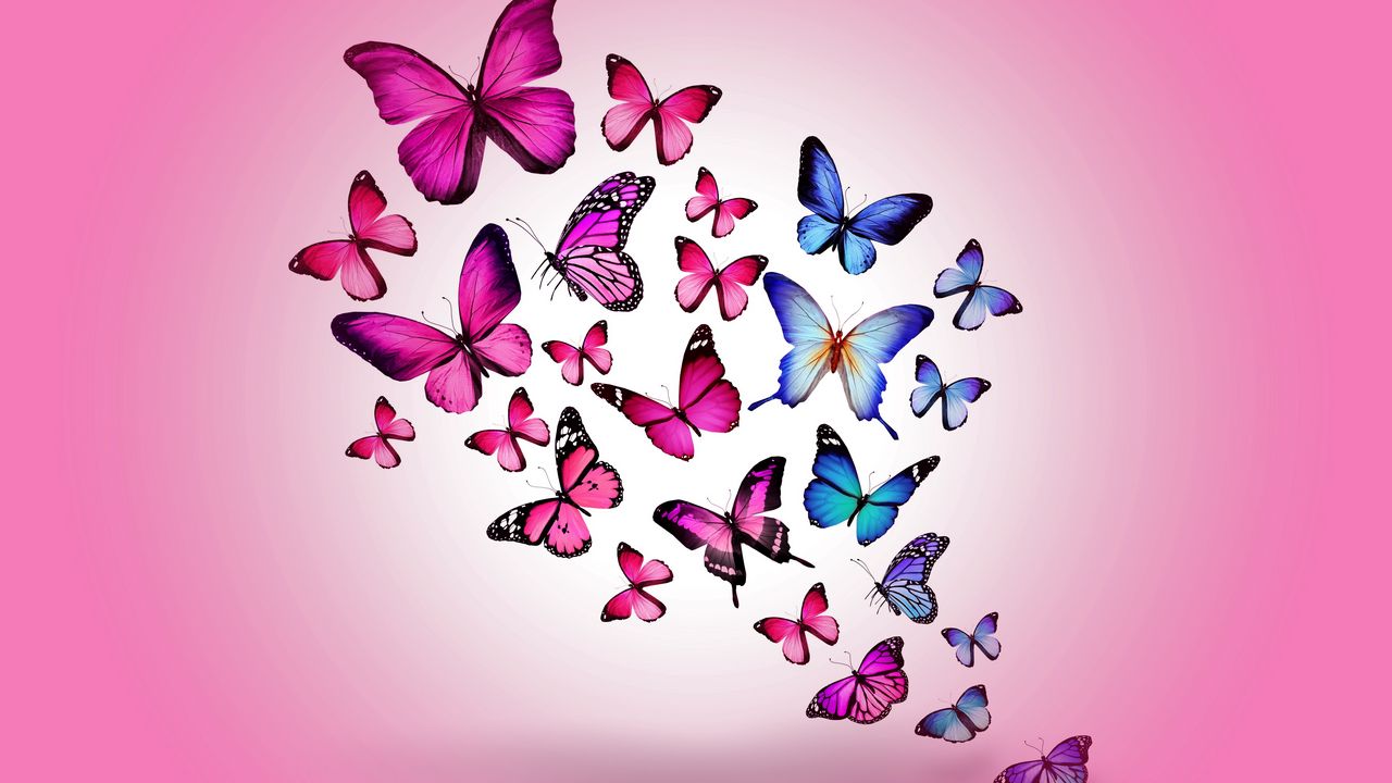 Wallpaper butterfly, drawing, flying, colorful, background, pink