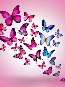 Preview wallpaper butterfly, drawing, flying, colorful, background, pink