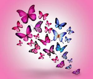 Preview wallpaper butterfly, drawing, flying, colorful, background, pink