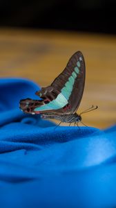 Preview wallpaper butterfly, fabric, folds, macro, blue