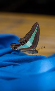 Preview wallpaper butterfly, fabric, folds, macro, blue