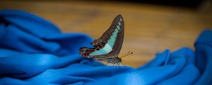 Preview wallpaper butterfly, fabric, folds, macro, blue