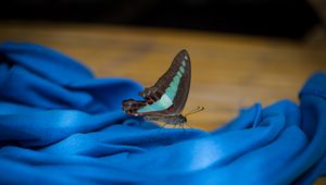 Preview wallpaper butterfly, fabric, folds, macro, blue