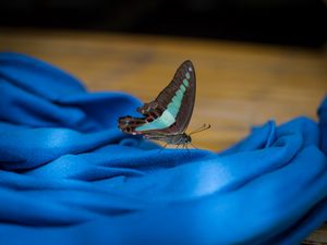 Preview wallpaper butterfly, fabric, folds, macro, blue