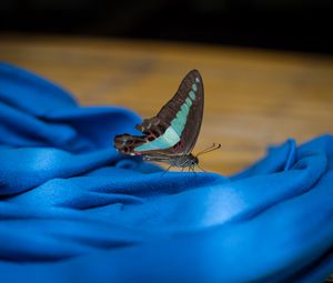 Preview wallpaper butterfly, fabric, folds, macro, blue