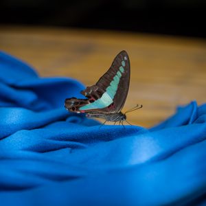 Preview wallpaper butterfly, fabric, folds, macro, blue