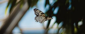 Preview wallpaper butterfly, flight, wings, pattern