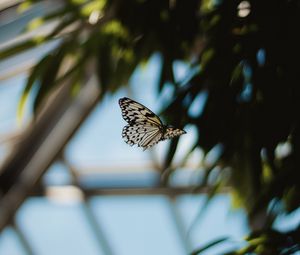 Preview wallpaper butterfly, flight, wings, pattern